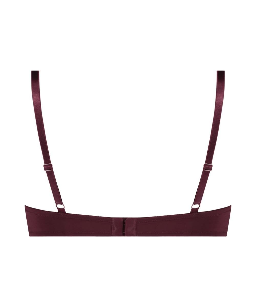 Σουτιέν Με Επένδυση Και Μπανέλα Plunge