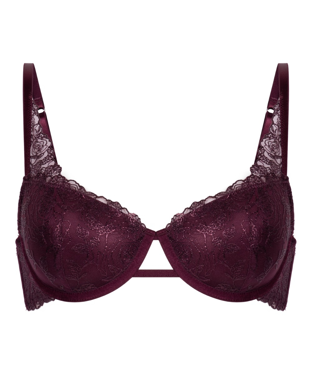 Σουτιέν Με Επένδυση Και Μπανέλα Hollie