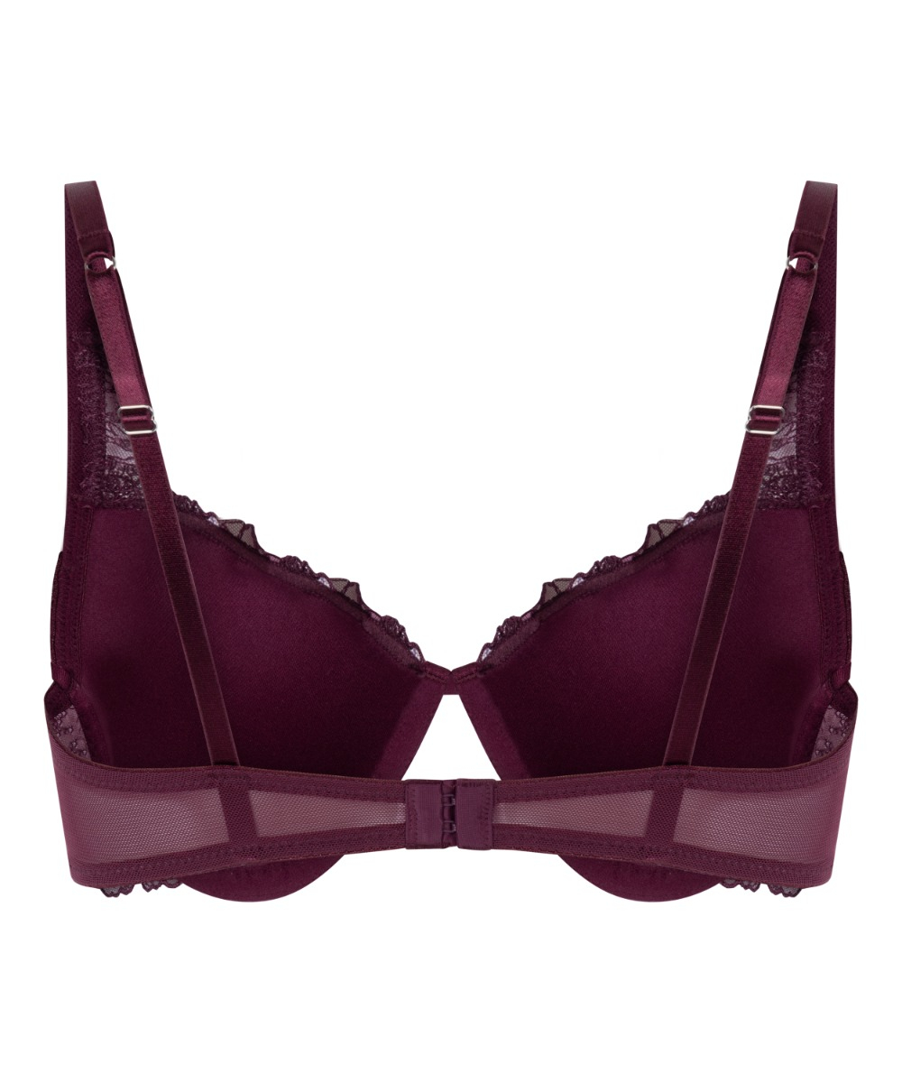 Σουτιέν Με Επένδυση Και Μπανέλα Hollie