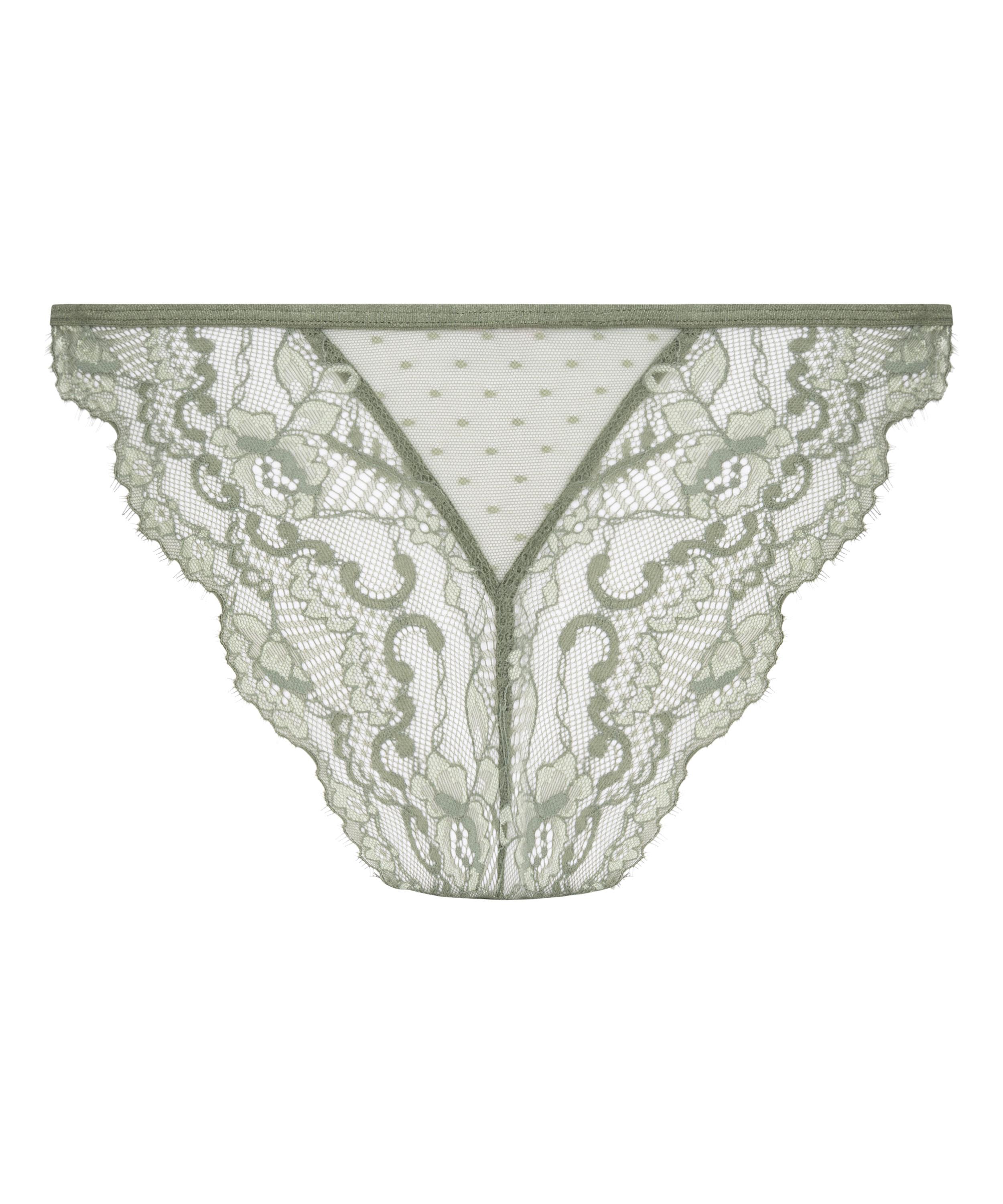 Ψηλόμεσο Μπραζίλιαν Silvia